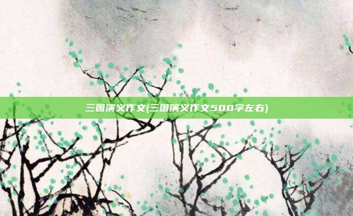 三国演义作文(三国演义作文500字左右)