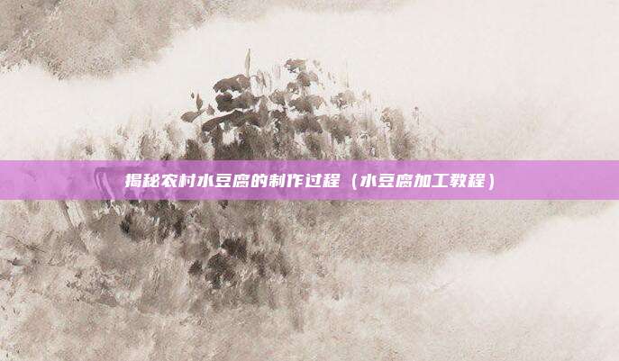 揭秘农村水豆腐的制作过程（水豆腐加工教程）