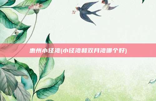 惠州小径湾(小径湾和双月湾哪个好)