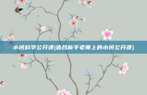 小班科学公开课(适合新手老师上的小班公开课)