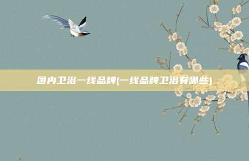 国内卫浴一线品牌(一线品牌卫浴有哪些)