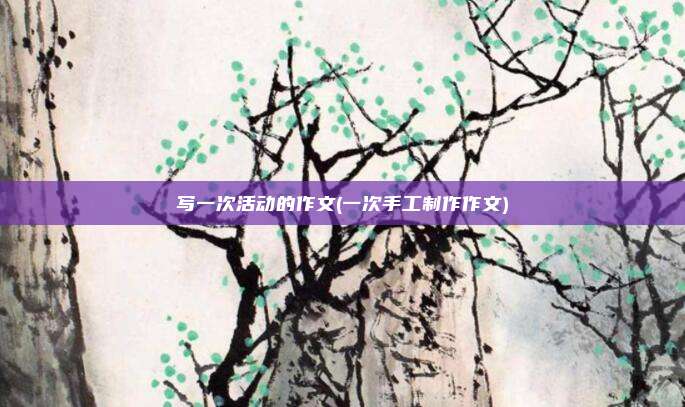 写一次活动的作文(一次手工制作作文)