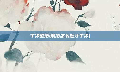 干净整洁(清洁怎么做才干净)