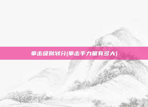 拳击级别划分(拳击手力量有多大)
