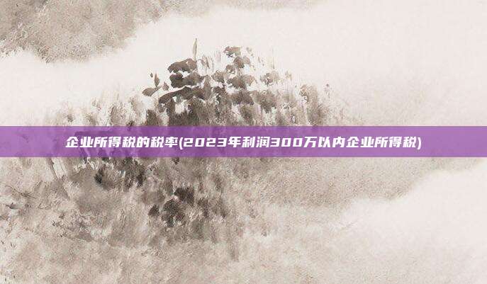 企业所得税的税率(2023年利润300万以内企业所得税)