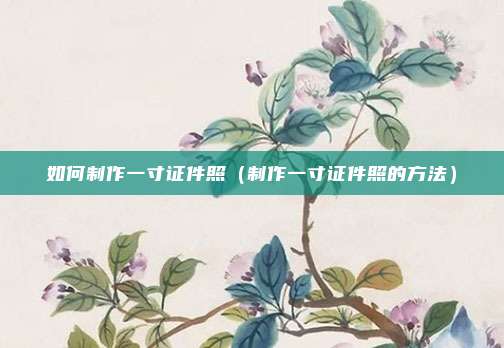 如何制作一寸证件照（制作一寸证件照的方法）