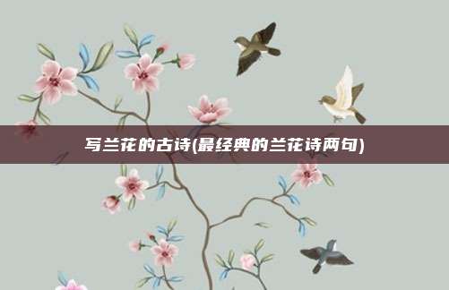 写兰花的古诗(最经典的兰花诗两句)
