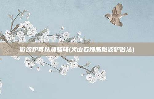 微波炉可以烤肠吗(火山石烤肠微波炉做法)