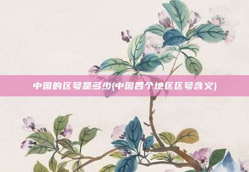 中国的区号是多少(中国各个地区区号含义)