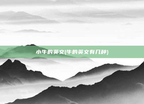 小牛的英文(牛的英文有几种)