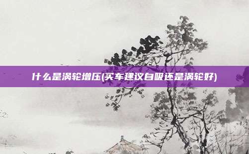 什么是涡轮增压(买车建议自吸还是涡轮好)