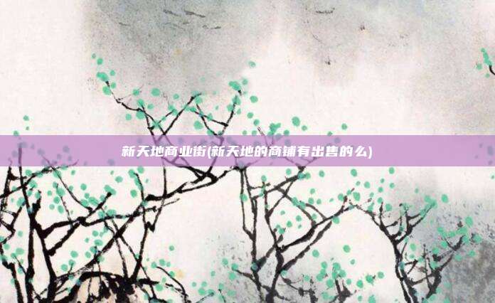 新天地商业街(新天地的商铺有出售的么)