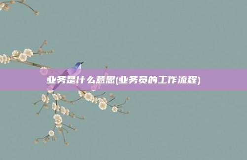 业务是什么意思(业务员的工作流程)