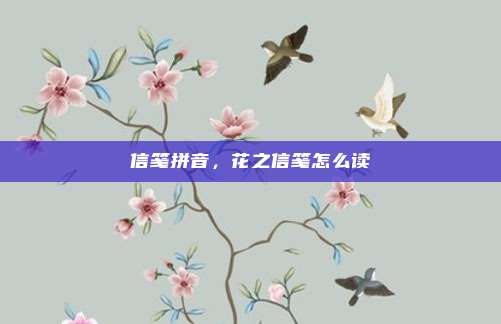 信笺拼音，花之信笺怎么读