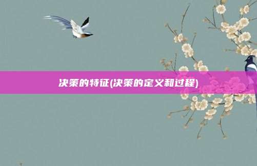 决策的特征(决策的定义和过程)
