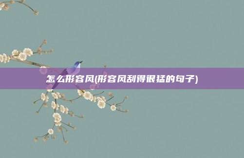 怎么形容风(形容风刮得很猛的句子)
