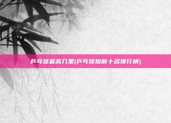 乒乓球最高几星(乒乓球拍前十名排行榜)