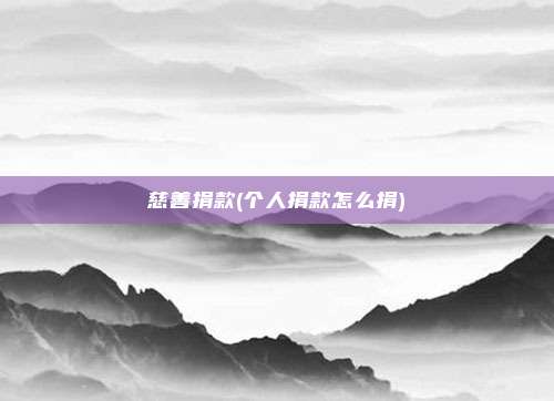 慈善捐款(个人捐款怎么捐)