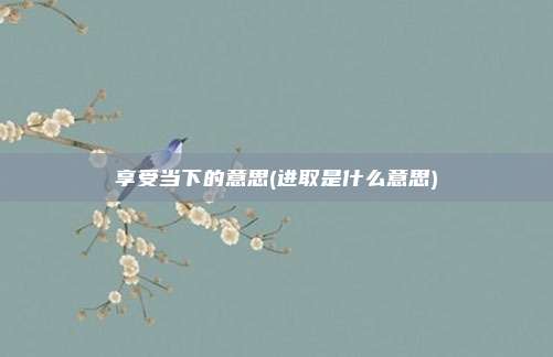 享受当下的意思(进取是什么意思)
