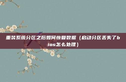 重装系统分区之后如何恢复数据（启动分区丢失了bios怎么处理）