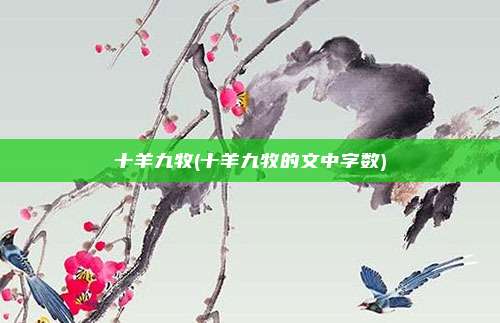 十羊九牧(十羊九牧的文中字数)
