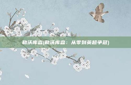 勒沃库森(勒沃库森：从零到英超争冠)