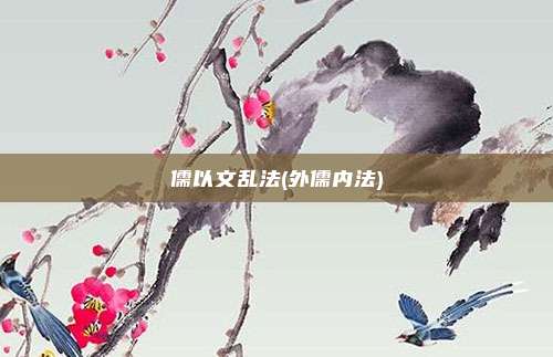 儒以文乱法(外儒内法)