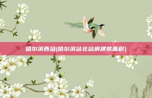 哈尔滨西站(哈尔滨站北站房建筑面积)