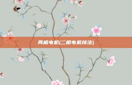 两相电机(二相电机接法)