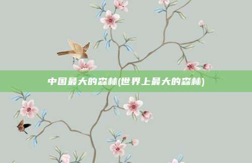 中国最大的森林(世界上最大的森林)