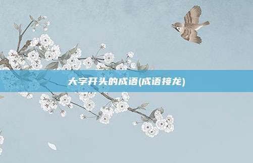 大字开头的成语(成语接龙)
