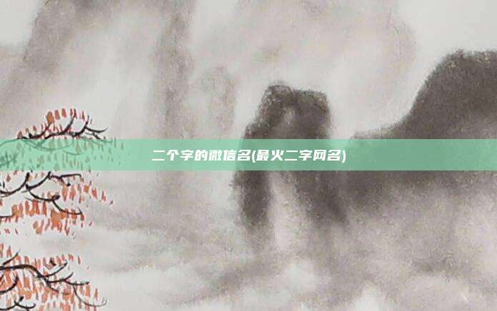二个字的微信名(最火二字网名)