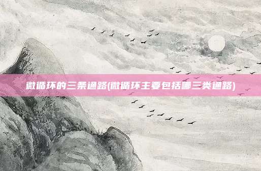 微循环的三条通路(微循环主要包括哪三类通路)