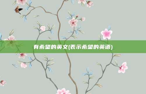 有希望的英文(表示希望的英语)