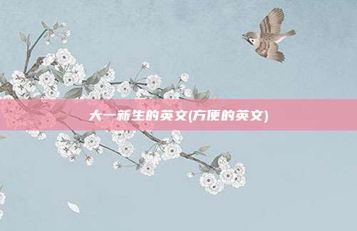 大一新生的英文(方便的英文)