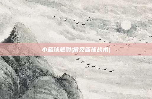 小篮球规则(常见篮球战术)