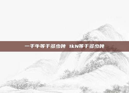 一千牛等于多少吨 1kN等于多少吨