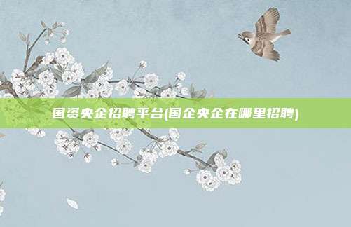 国资央企招聘平台(国企央企在哪里招聘)