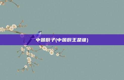 中国厨子(中国厨王是谁)