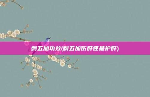 刺五加功效(刺五加伤肝还是护肝)