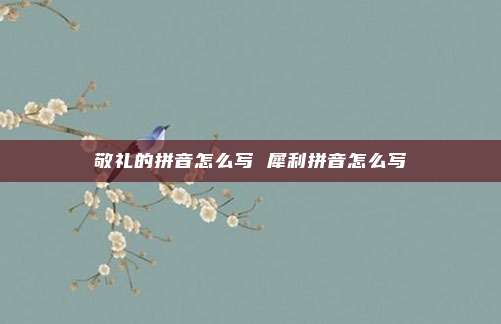 敬礼的拼音怎么写 犀利拼音怎么写