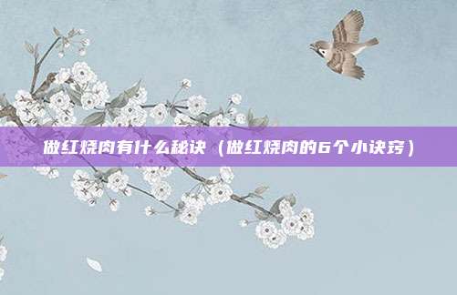 做红烧肉有什么秘诀（做红烧肉的6个小诀窍）