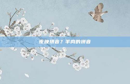 夜晚拼音？羊肉的拼音
