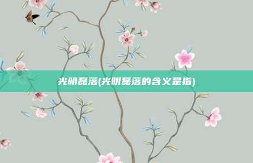 光明磊落(光明磊落的含义是指)