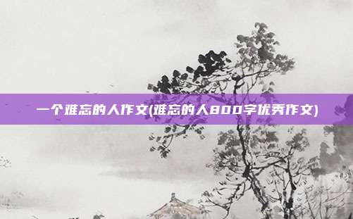 一个难忘的人作文(难忘的人800字优秀作文)