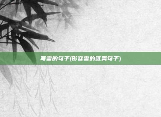 写雪的句子(形容雪的唯美句子)