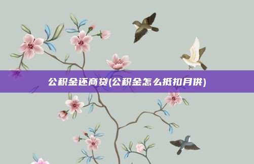 公积金还商贷(公积金怎么抵扣月供)