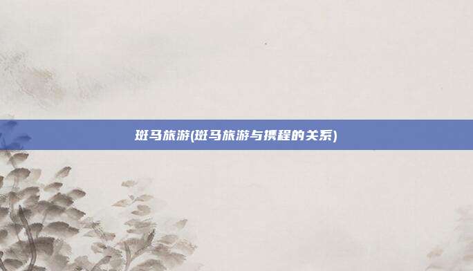 斑马旅游(斑马旅游与携程的关系)