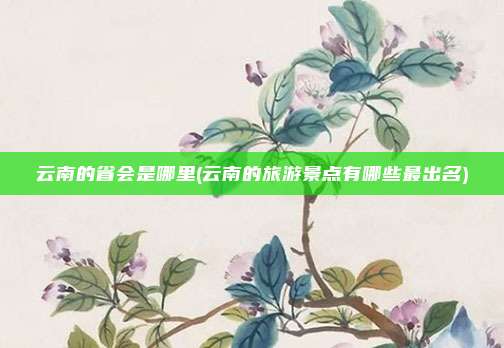 云南的省会是哪里(云南的旅游景点有哪些最出名)