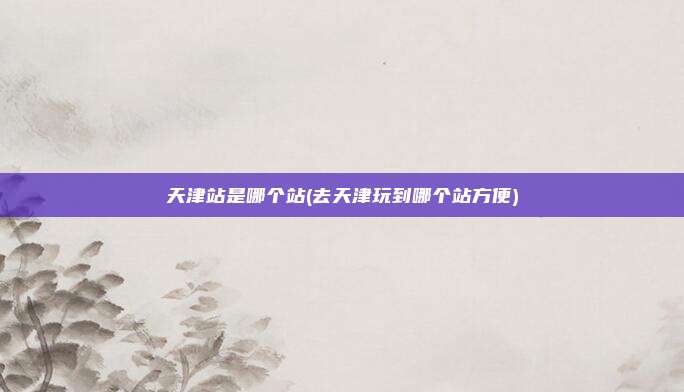天津站是哪个站(去天津玩到哪个站方便)